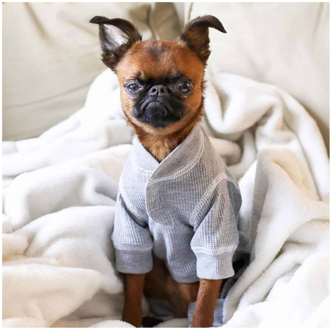 Heather Grey Thermal Dog Pajamas image 0