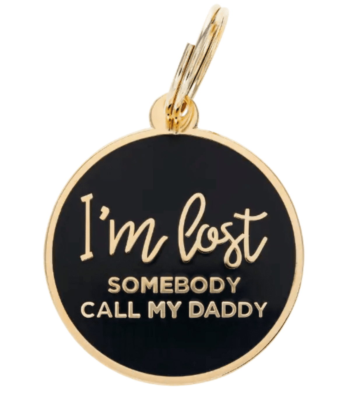 'I'm Lost. Somebody Call My Daddy' Dog Charm image 0