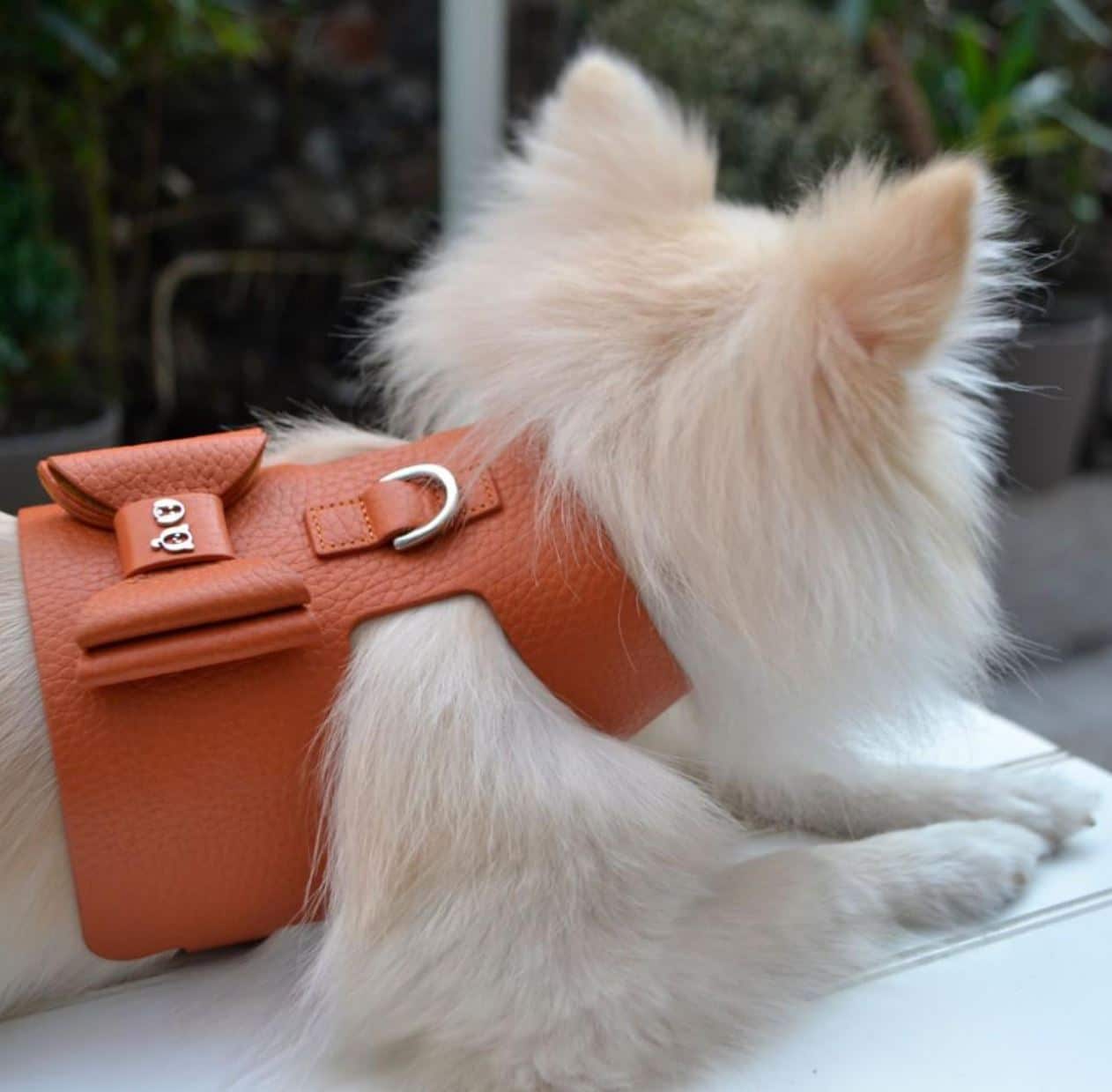 Bijou Dog Harness - Orange image 1