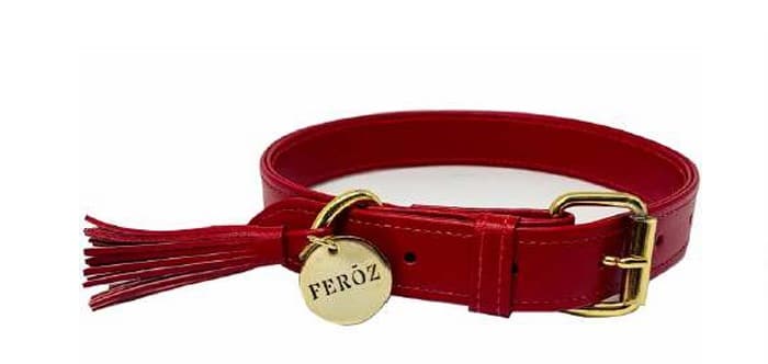 Feroz Leather Dog Collar - Coral Collection image 3