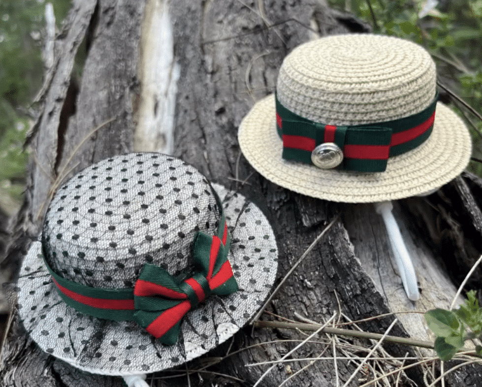 GRRRCI Dog Hat image 0