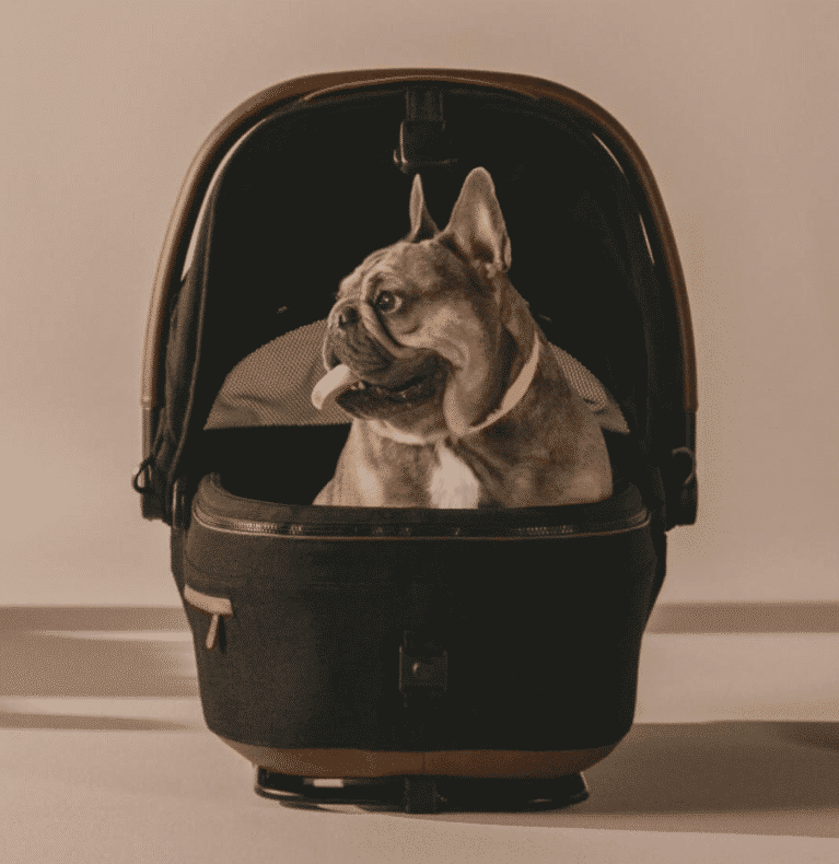 Tavo Maeve Pet Car Seat Merle / Medium / Rigid