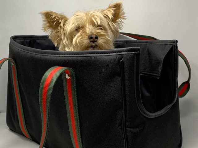 Margo Black Dog Bag with Designer Stripes image 0