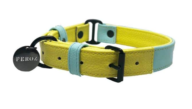 Baby Blue Lemon Leather Dog Collar – PUCCI Cafe