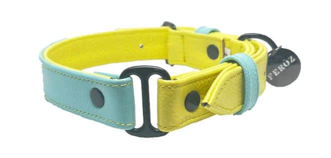Baby Blue Lemon Leather Dog Collar image 2
