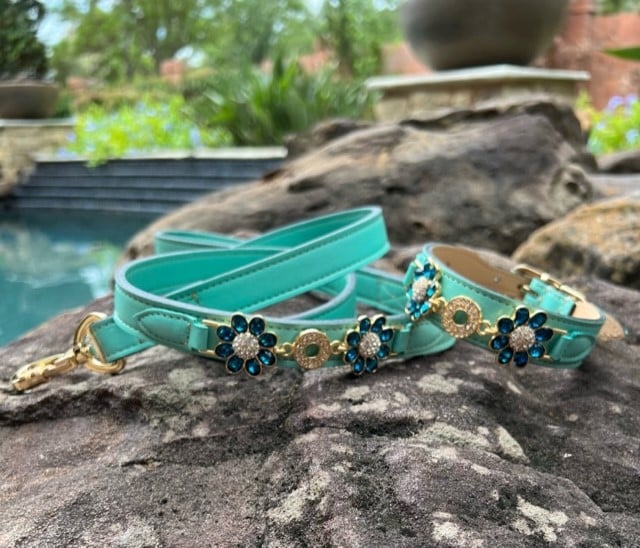 Daisy Dog Collar in Turquoise & Gold image 1