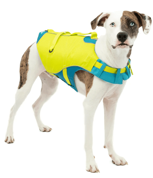 Surf N Turf Green Dog Life Jacket image 1