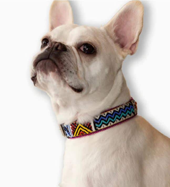 Artisan Kamsa Dog Collar image 0
