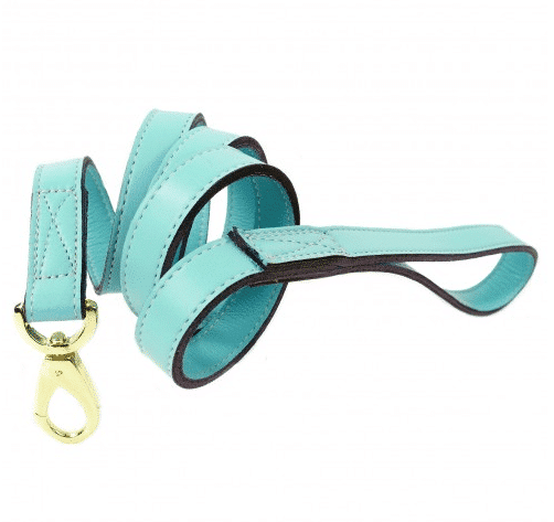 Daisy Dog Leash in Turquoise & Gold image 0