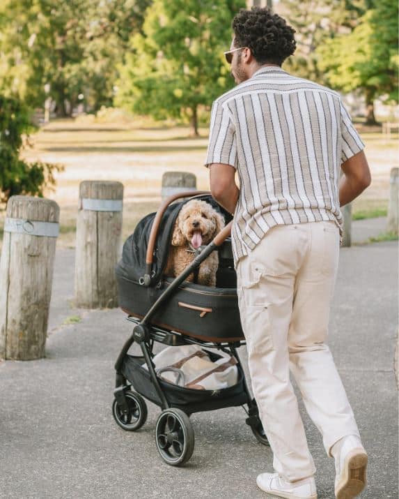 Tavo Pets Maeve Medium (Rigid Handle) Pet Stroller image 0
