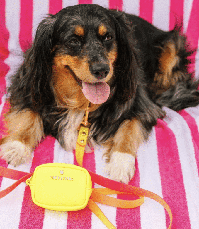 Kiki Bag Dispenser/ Treat Pouch - Neon Yellow image 0