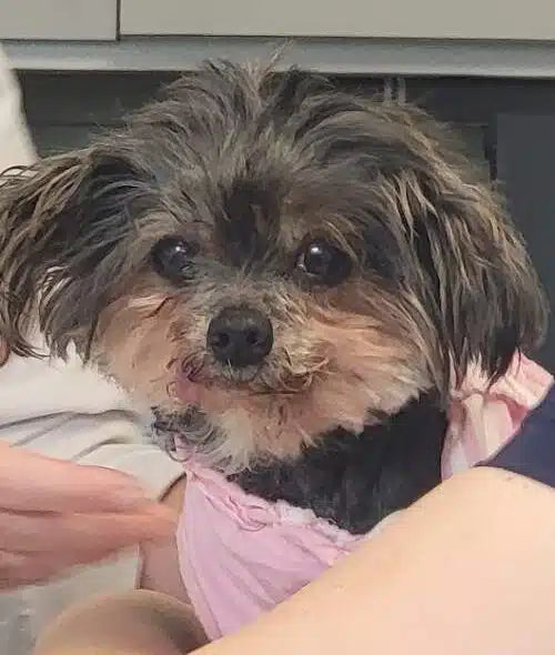 hi my name is Betty