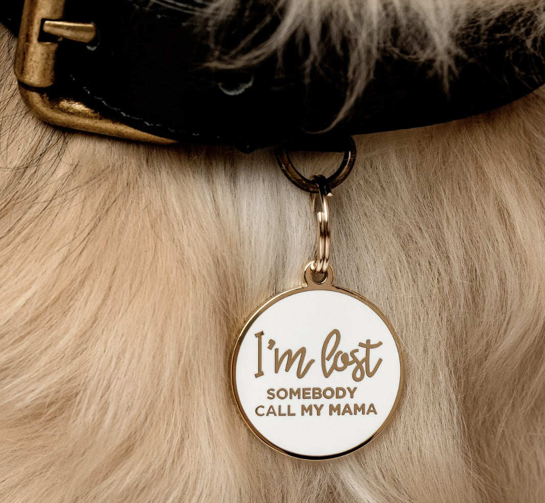 I’m Lost Somebody Call My Mama Dog Collar Charm