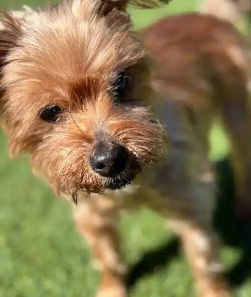 hi my name is Olivia