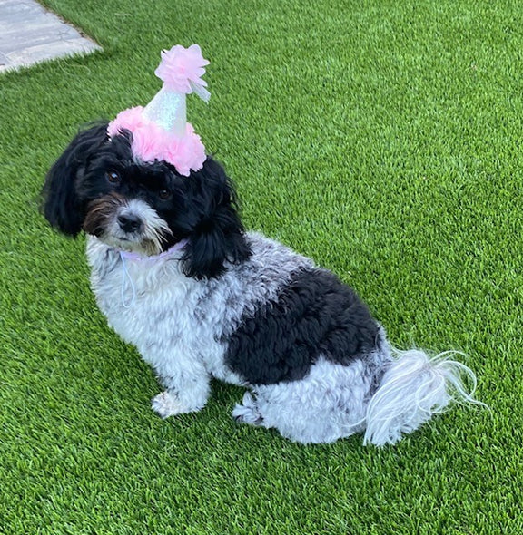 Pink Birthday Hat