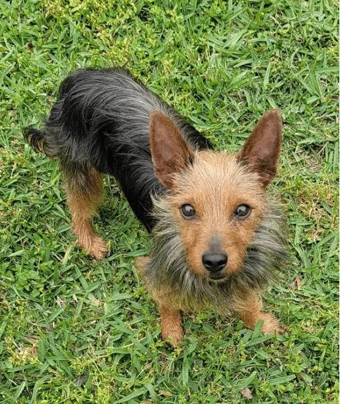 hi my name is Kimmie