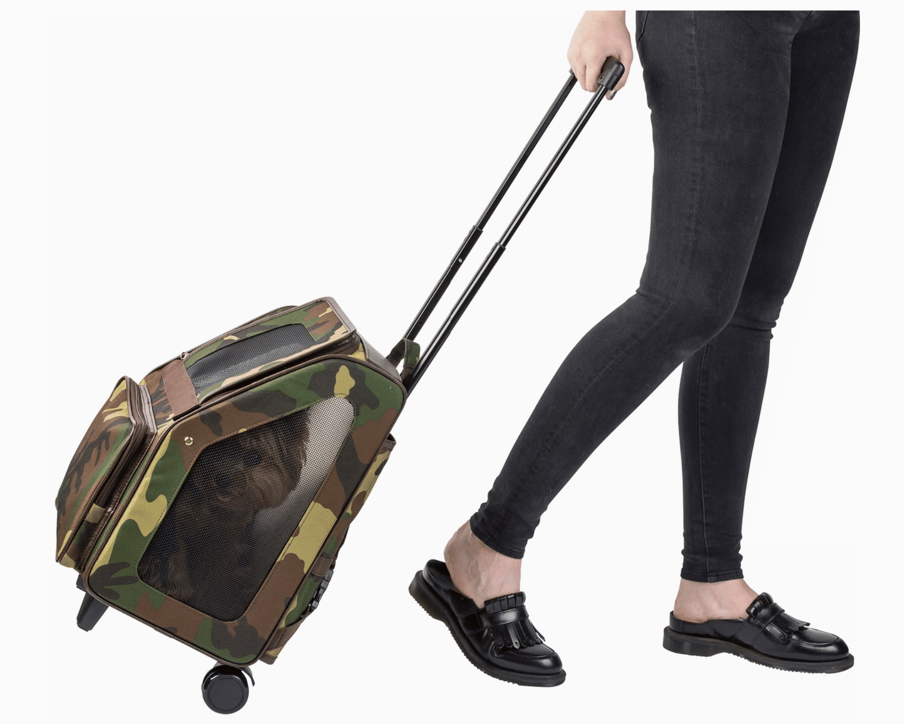 rolling dog carrier