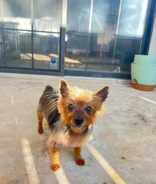 hi my name is Rubee