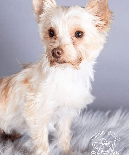 hi my name is Shelby