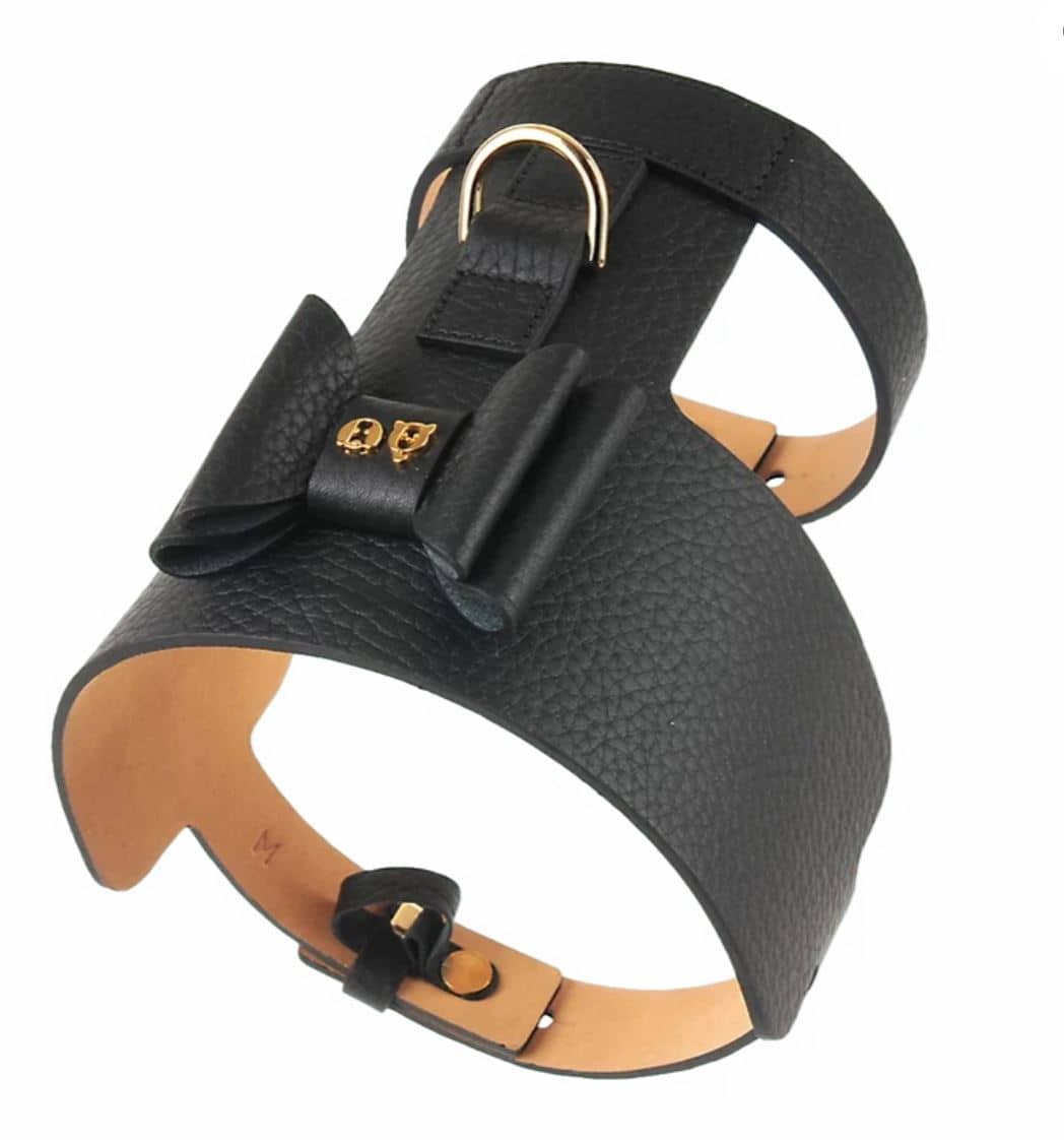 Bijou Dog Harness - Black image 0