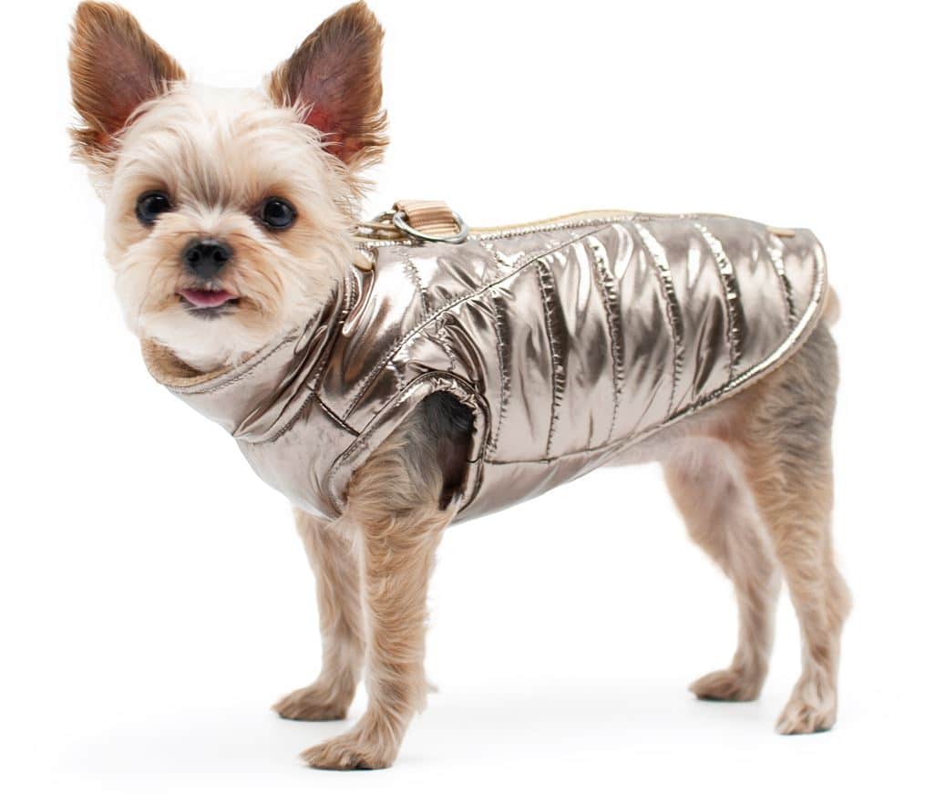 Metallic Runner Dog Coat image 0