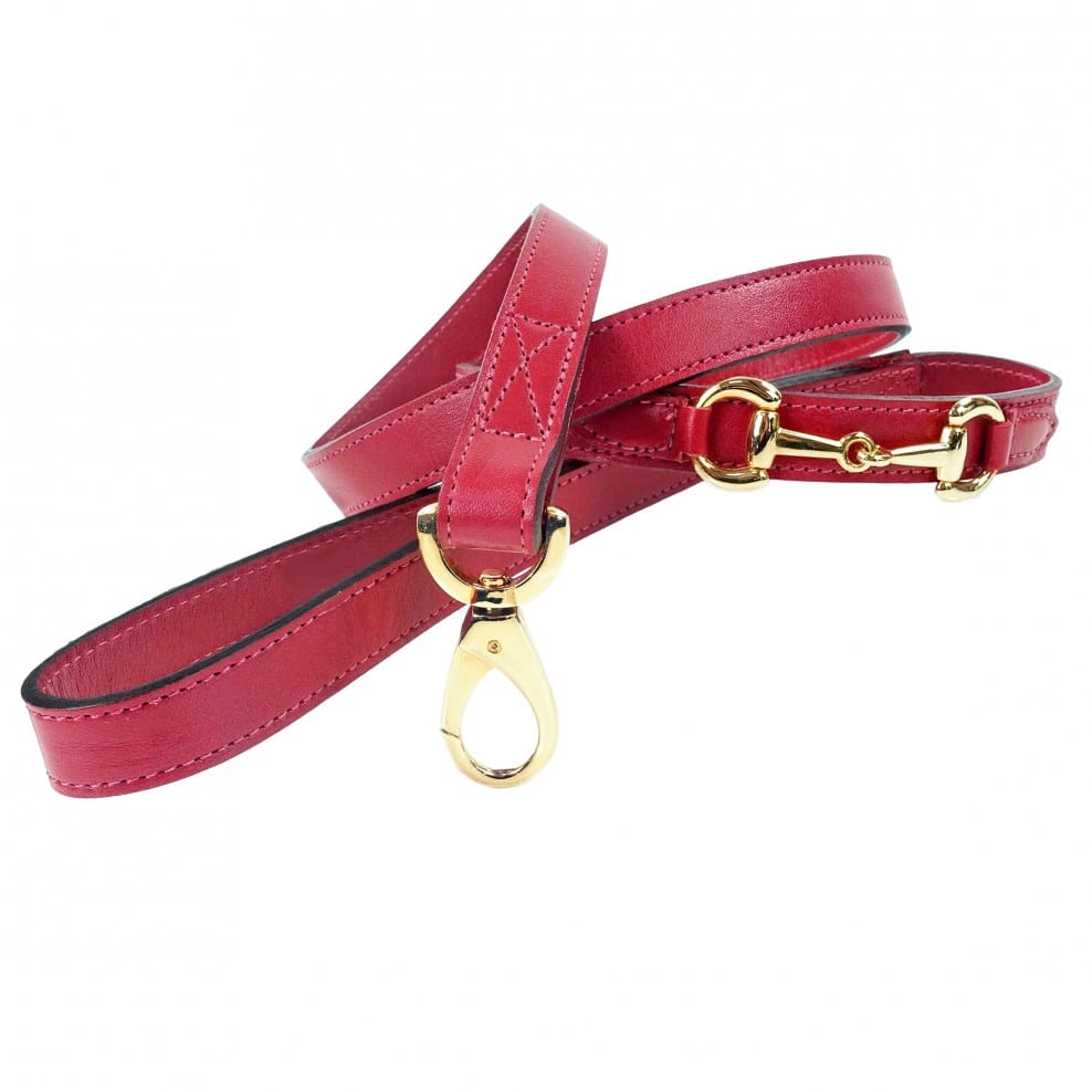 Belmont with Icon Dog Leash in Ferrari Red image 0