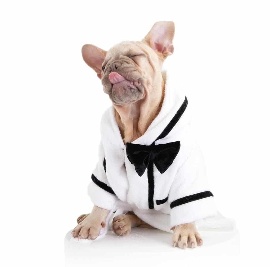 Best Man Dog Bathrobe image 1