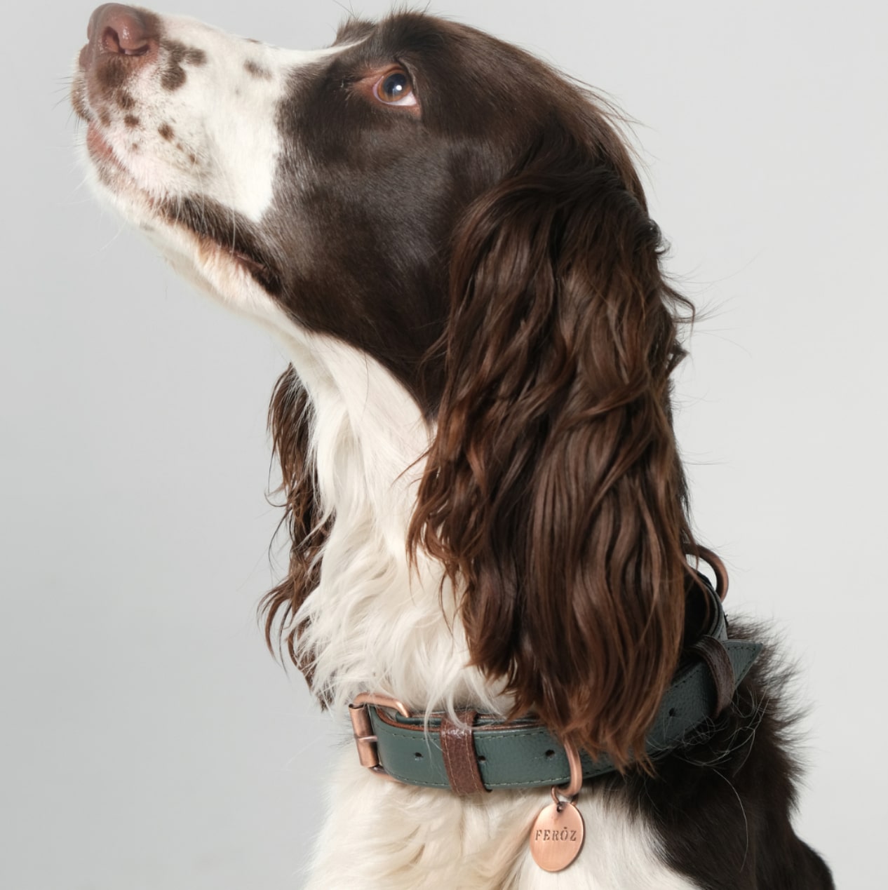 Feroz Leather Dog Collar - Hunter Collection image 0