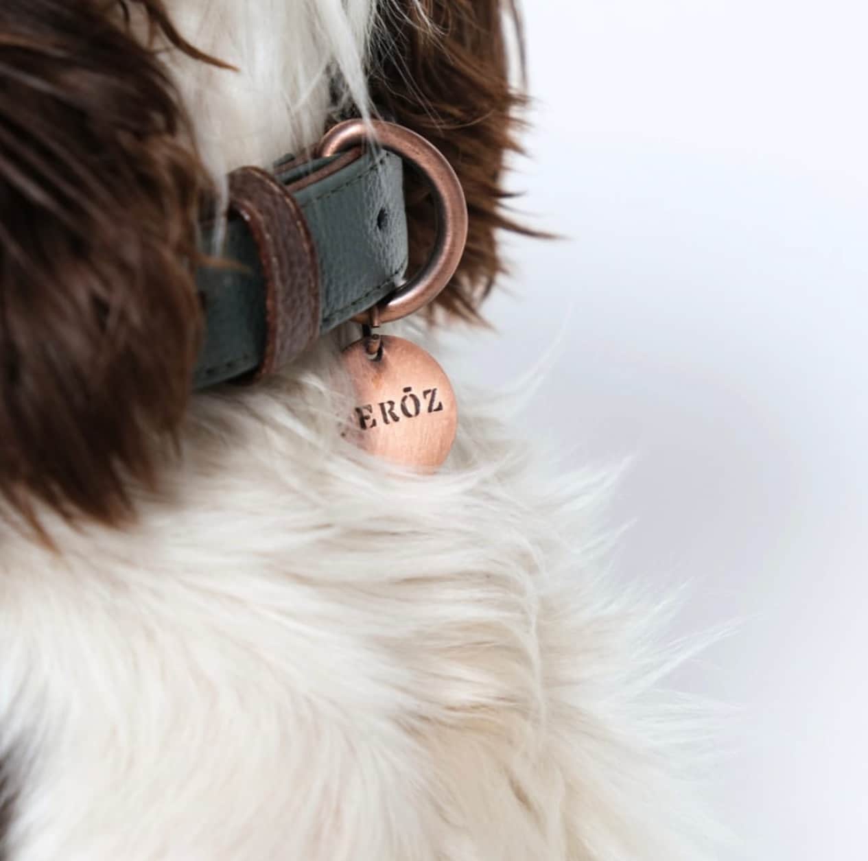 Feroz Leather Dog Collar - Hunter Collection image 1