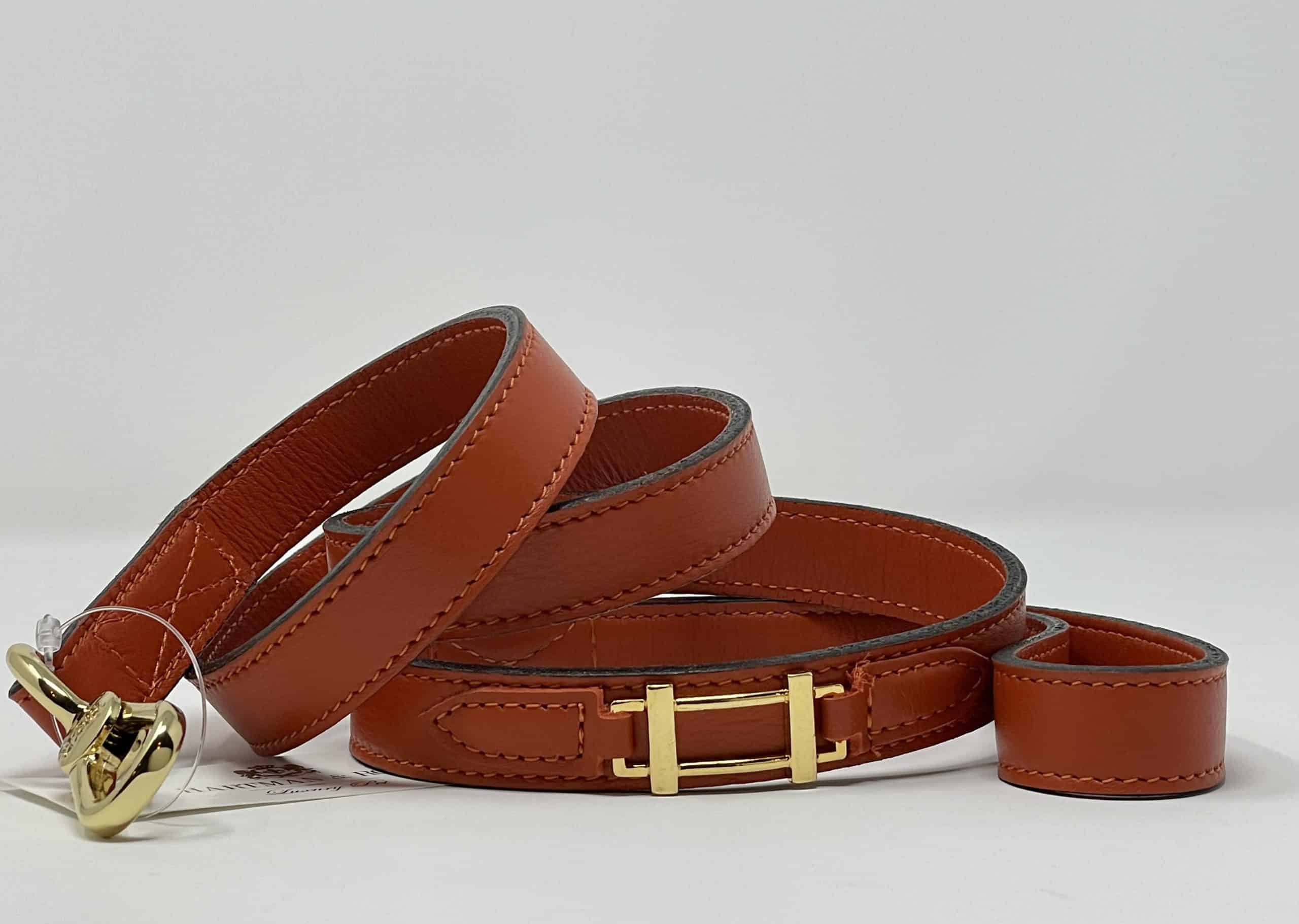 Hamilton with Icon Dog Leash in 'Aranchione' & Gold image 0