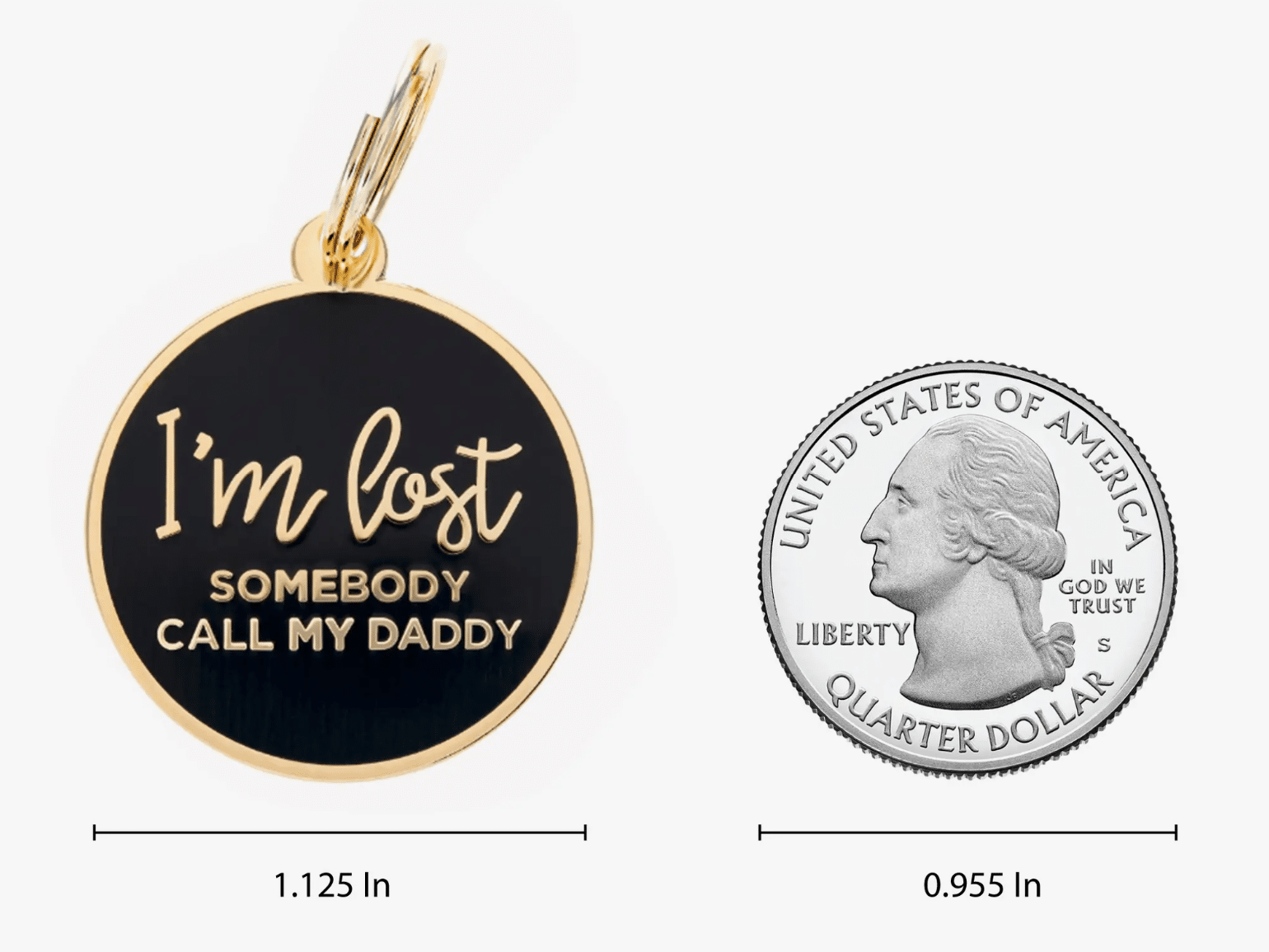 'I'm Lost. Somebody Call My Daddy' Dog Charm image 1