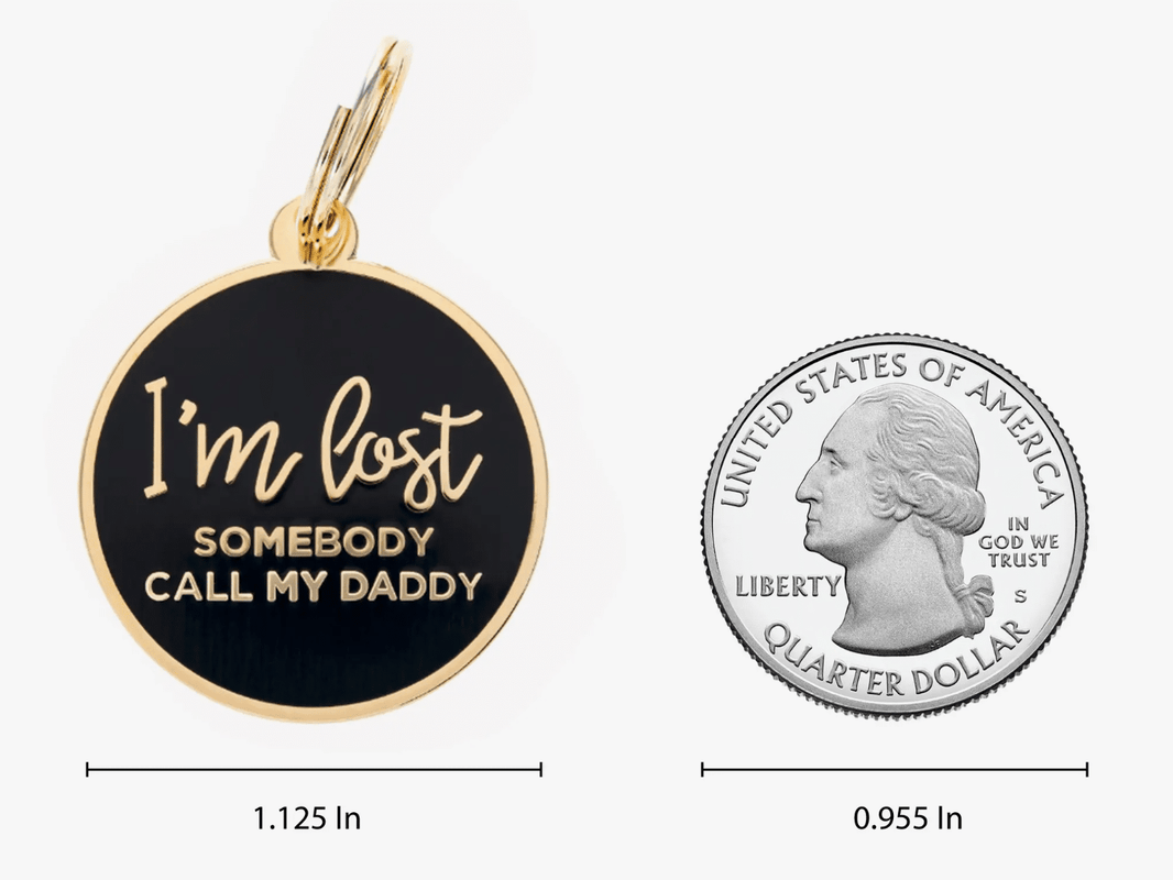 'I'm Lost. Somebody Call My Daddy' Dog Charm image 1