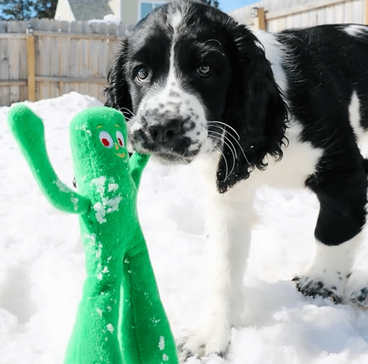 Gumby Plush Squeaker Dog Toy image 0