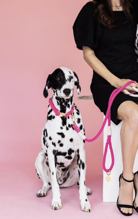 Christine Rope Dog Leash image 0