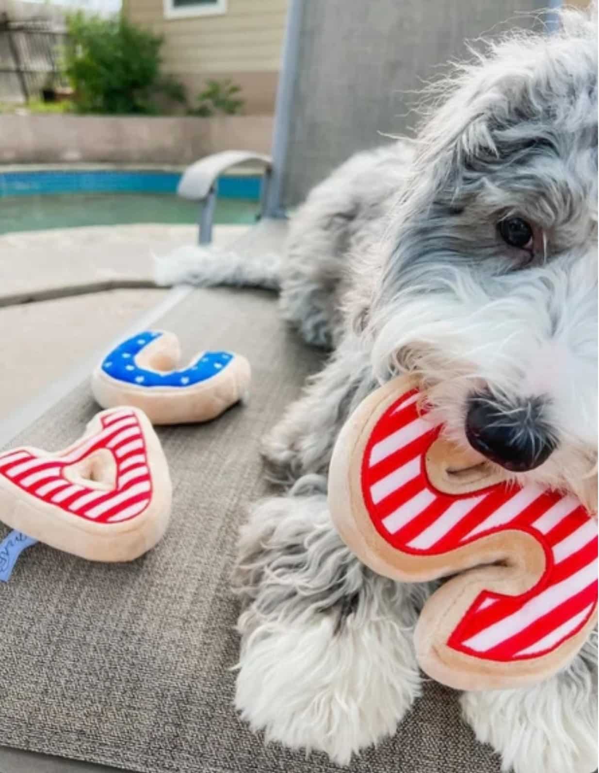 USA Sugar Cookie Plush Dog Toy image 0