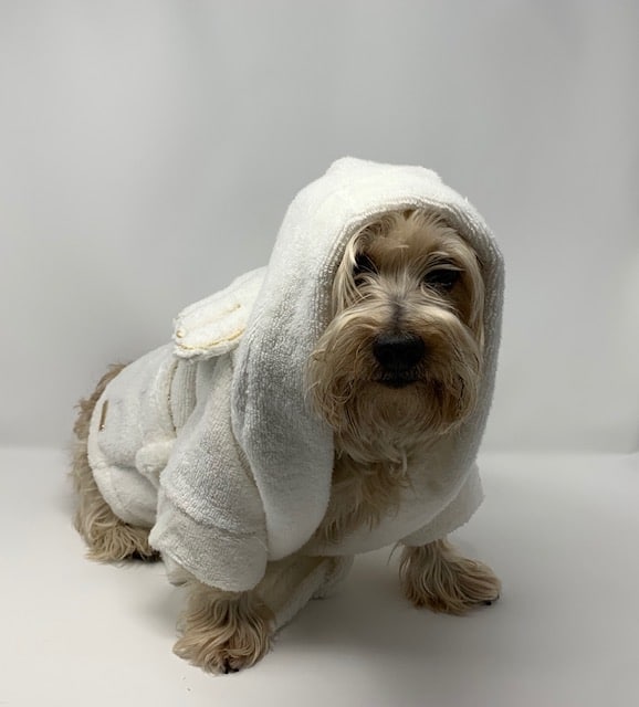 Angel Dog Bathrobe image 4