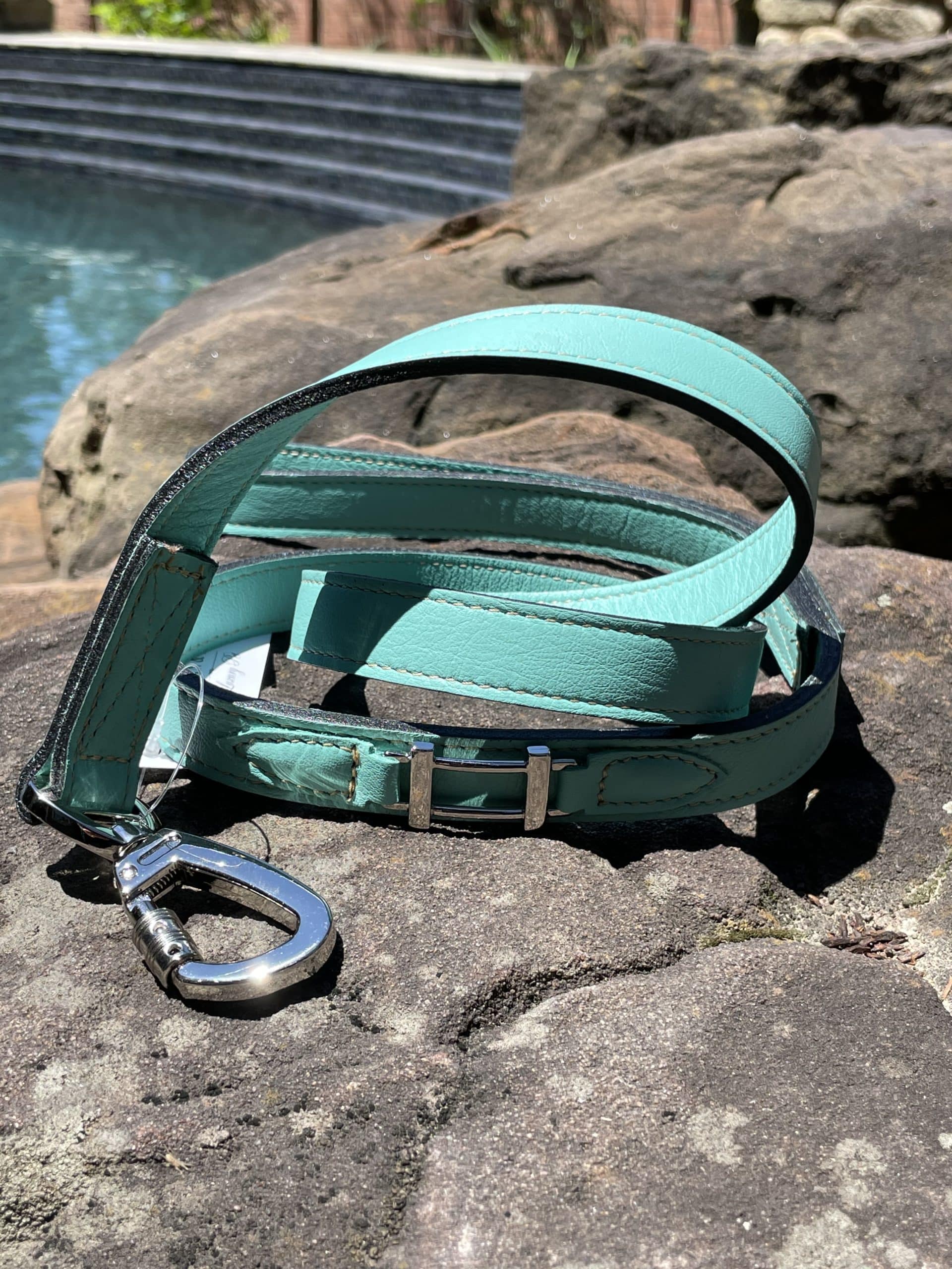 Hamilton with Icon Dog Leash in Turquoise & Nickel image 0