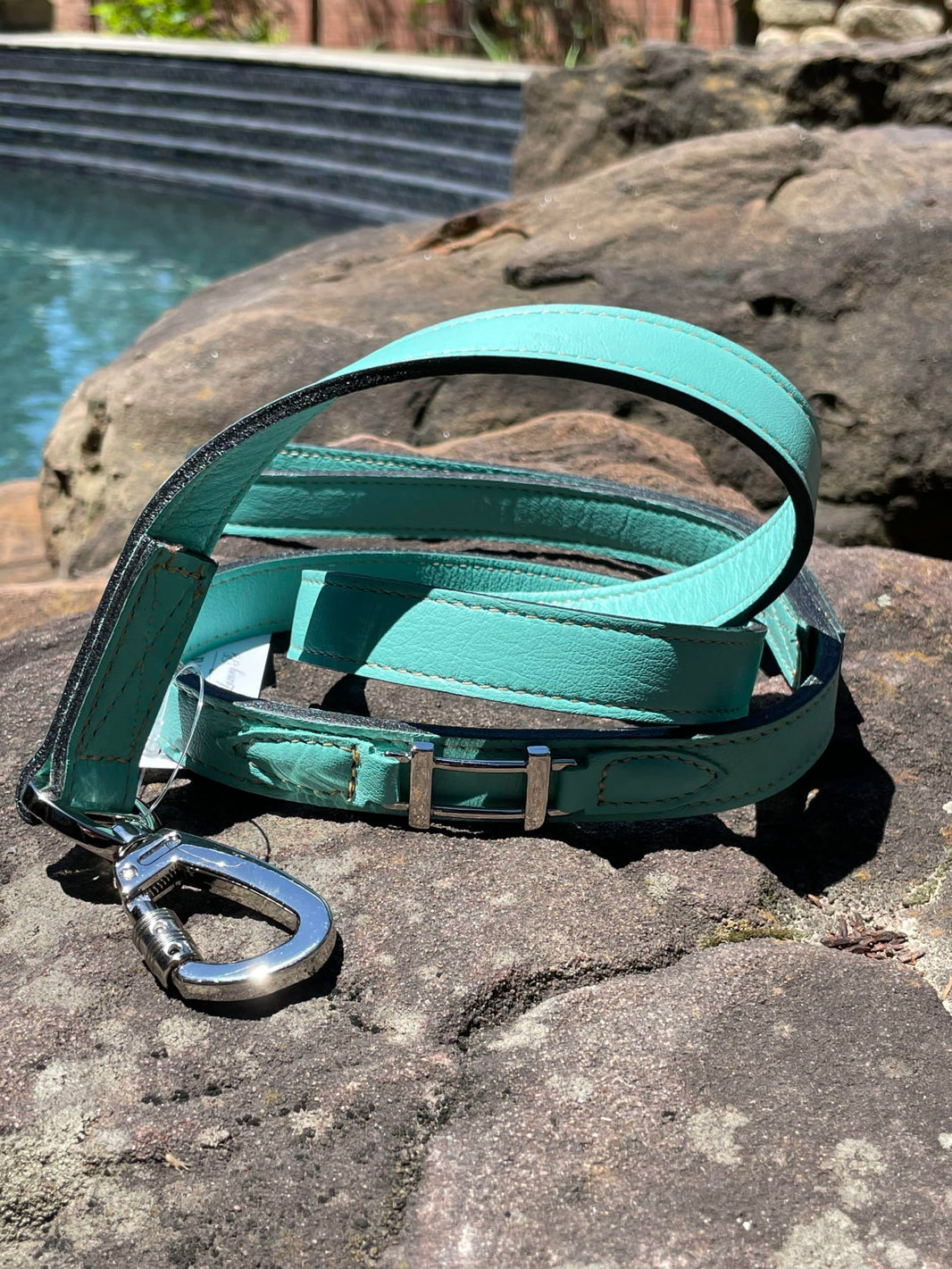 Hamilton with Icon Dog Leash in Turquoise & Nickel image 0