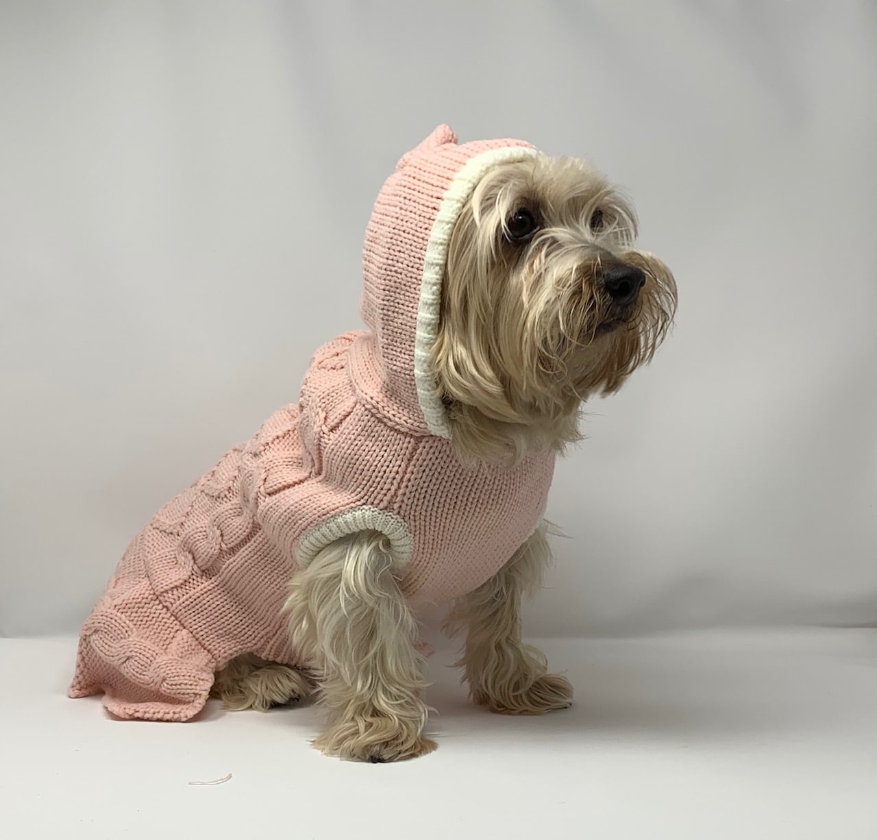 Cable Hoodie Sweater Dog Dress image 2