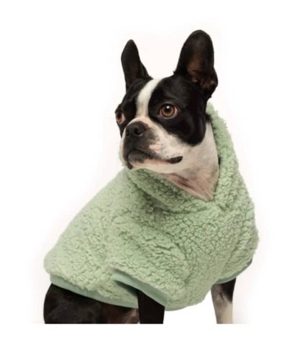 Seafoam Sherpa Dog Hoodie image 0