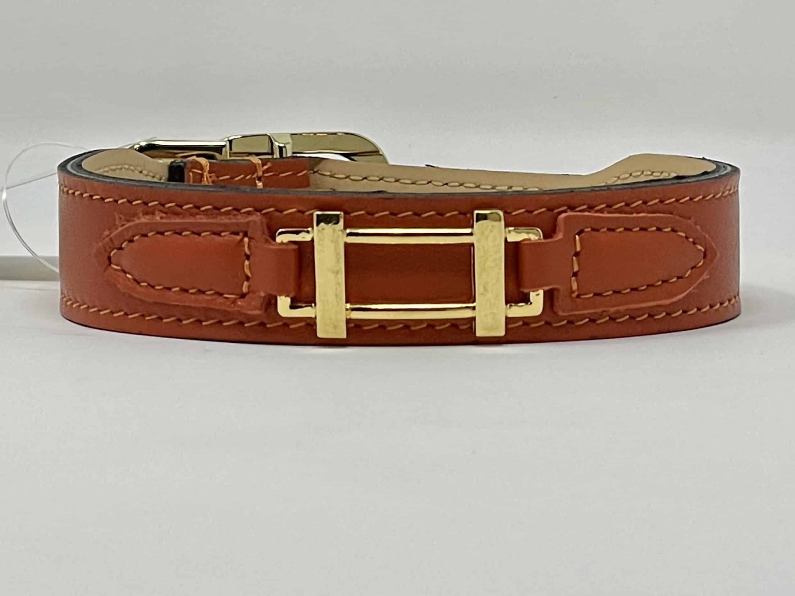 Hamilton Dog Collar in Arancione and Gold image 0