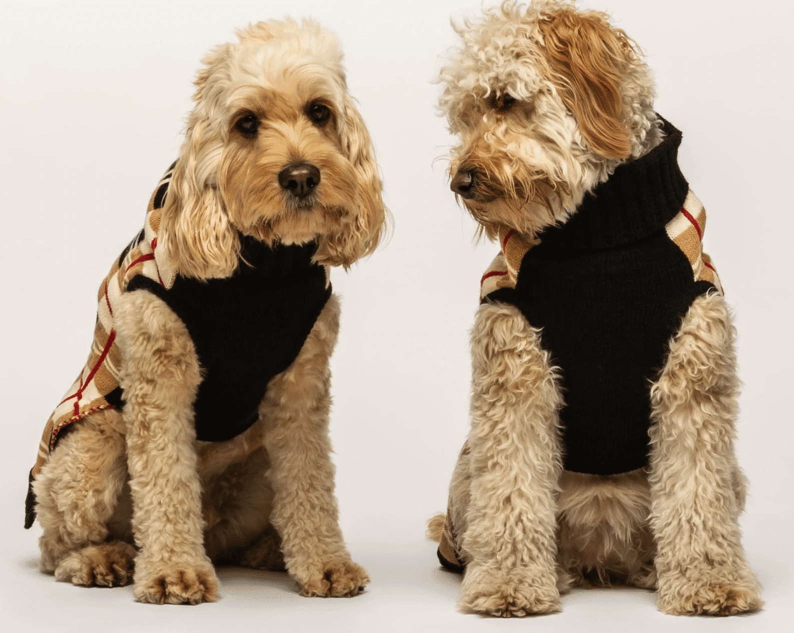 Multi Plaid Dog Sweater - Camel image 1