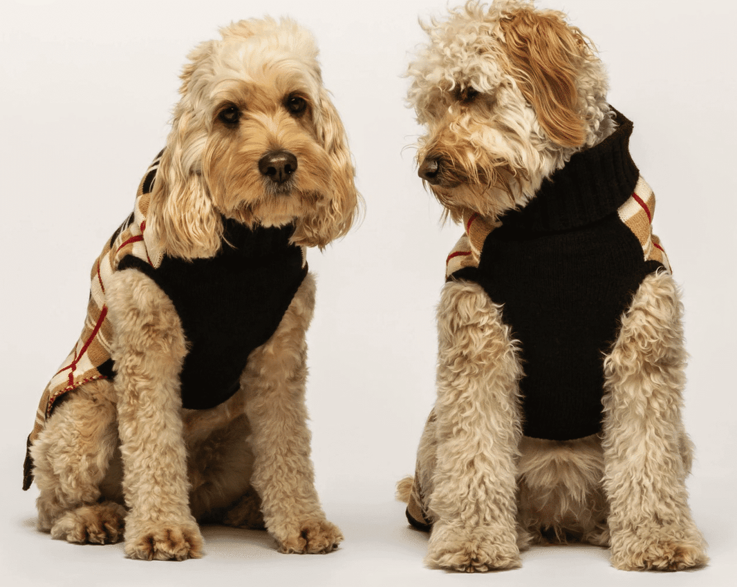 Multi Plaid Dog Sweater - Camel image 1