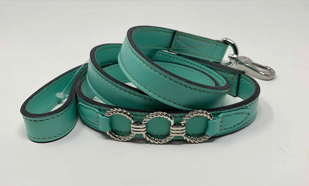 Athena with Icon Dog Leash in Turquoise & Nickel image 0