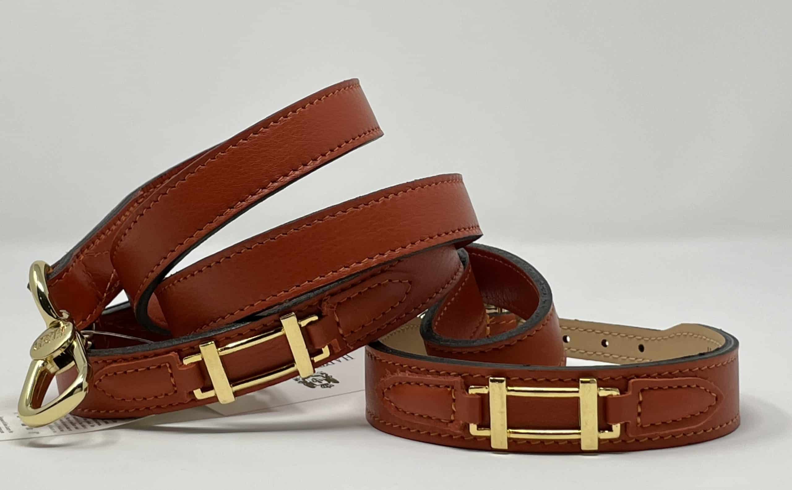 Hamilton with Icon Dog Leash in 'Aranchione' & Gold image 1