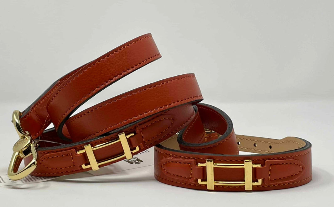 Hamilton with Icon Dog Leash in 'Aranchione' & Gold image 1