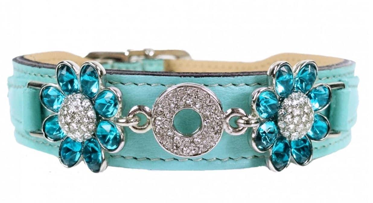 Daisy Dog Collar in Turquoise & Nickel image 0