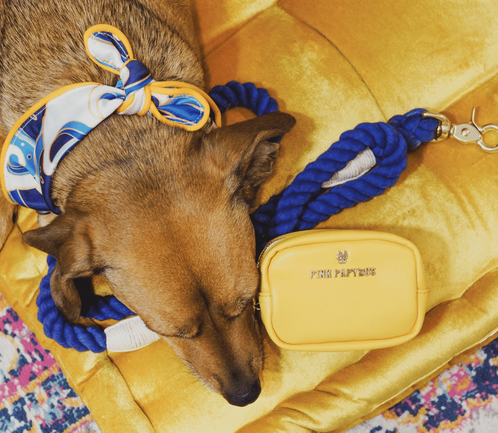 Colie Bag Dispenser/ Treat Pouch - Yellow Vegan Leather image 0