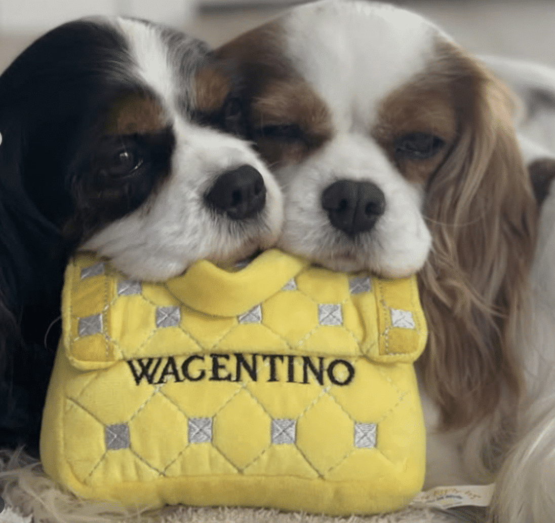 Wagentino Handbag Dog Toy image 0