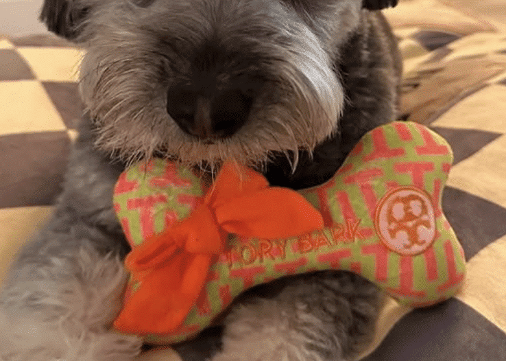 Tory Bark Bone Dog Toy image 0